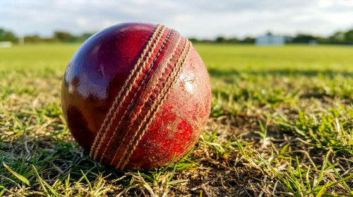 Cricket ball on the field