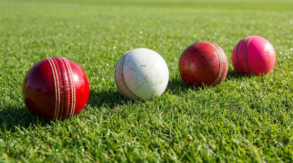 Colourful cricket balls on grass